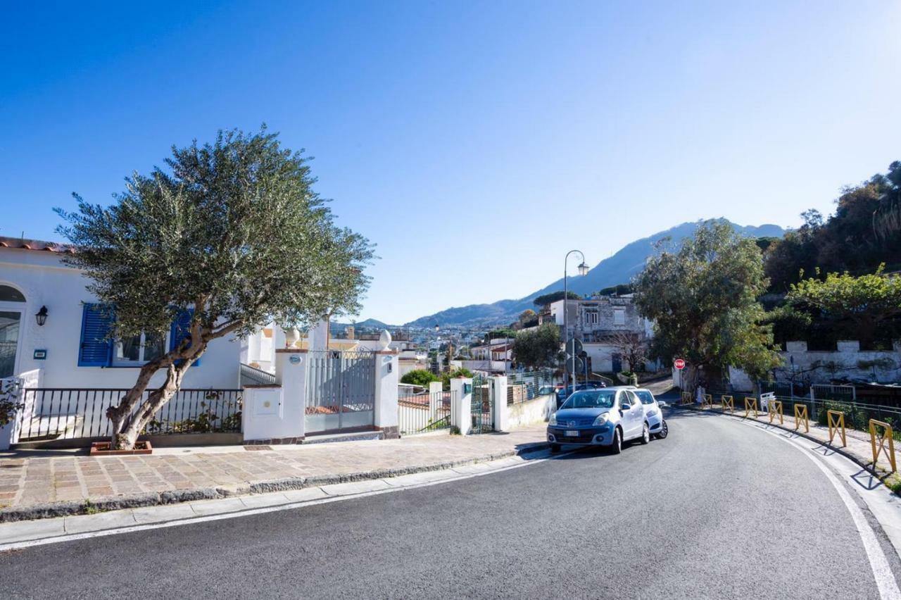 Casa Restituta Apartment Lacco Ameno (Isola d'Ischia)
